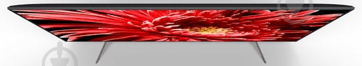 Телевизор Sony KD65XG8596BR2 - фото 4 Телевизор Sony KD65XG8596BR2 - фото 4
