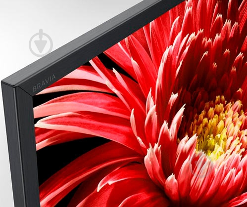 Телевизор Sony KD65XG8596BR2 - фото 6 Телевизор Sony KD65XG8596BR2 - фото 6