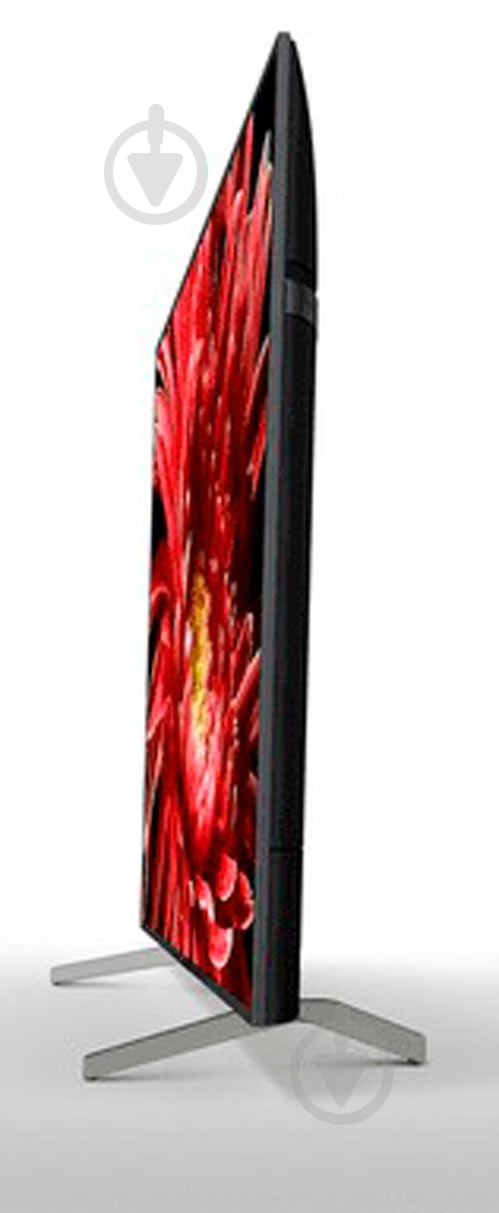 Телевизор Sony KD65XG8596BR2 - фото 7 Телевизор Sony KD65XG8596BR2 - фото 7