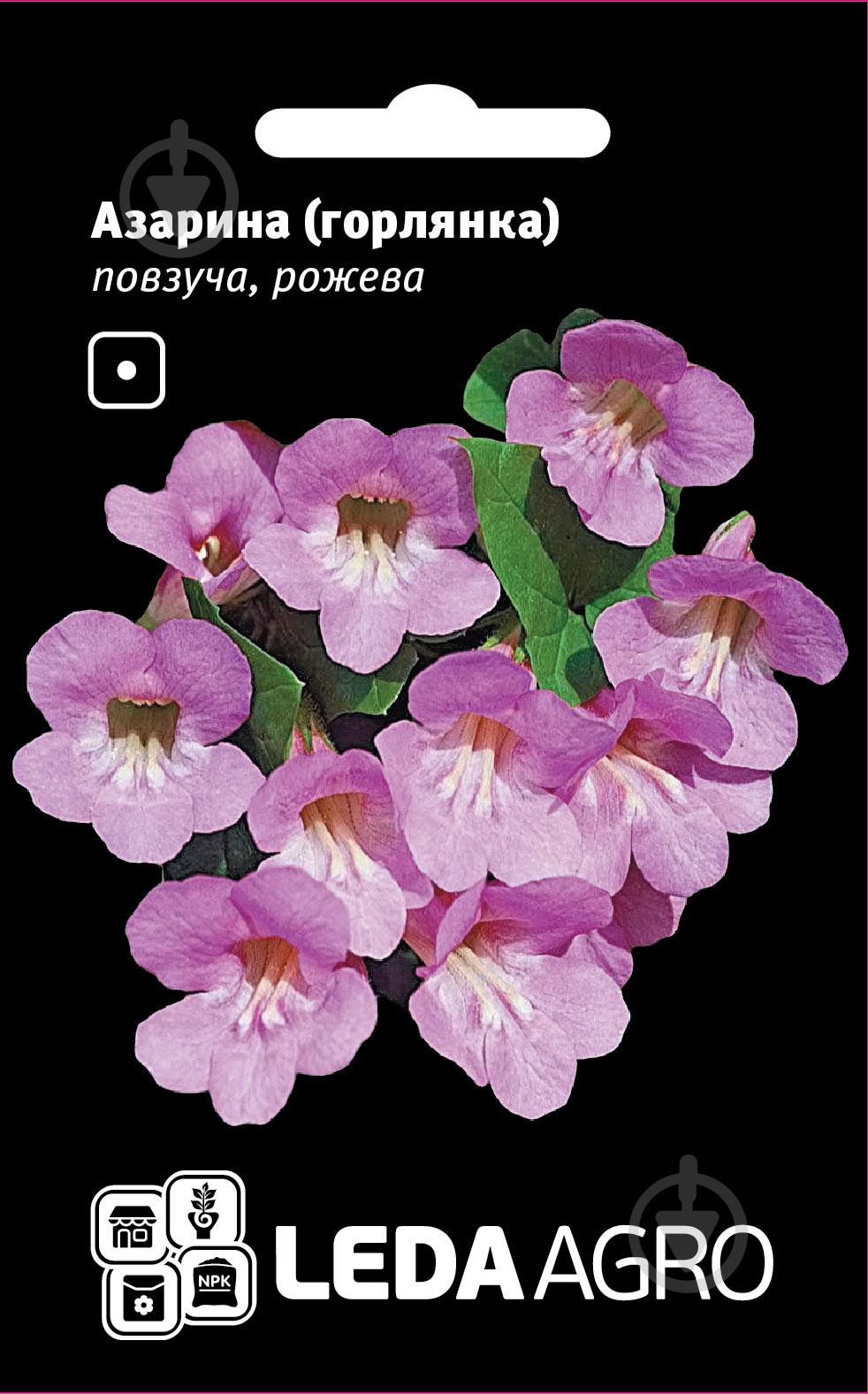 Насіння LedaAgro Повзуча 4 шт. (4820119795514) - фото 1 Насіння LedaAgro Повзуча 4 шт. (4820119795514) - фото 1