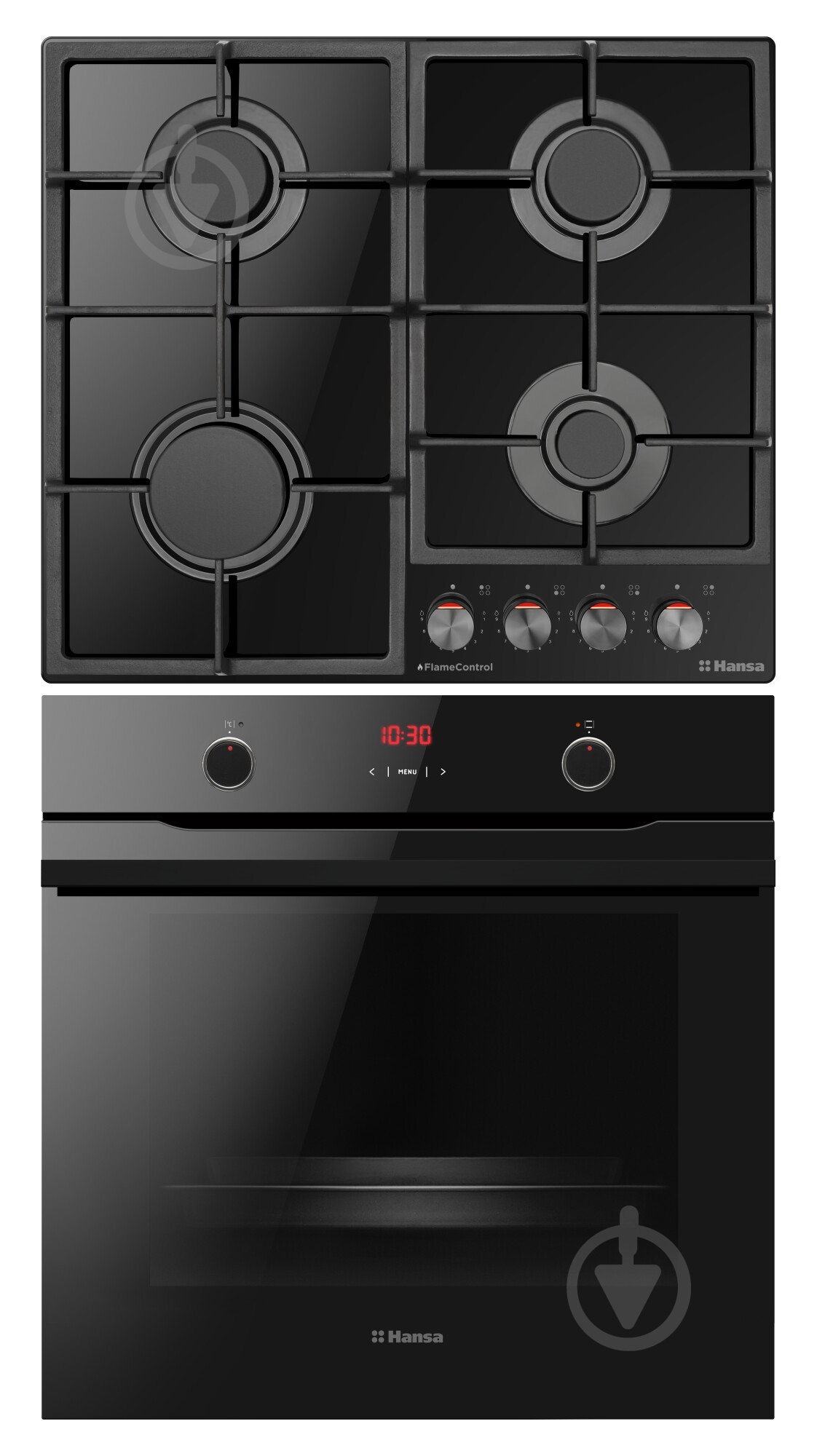 Комплект вбудовуваної техніки Hansa FCGS69326 - фото 2