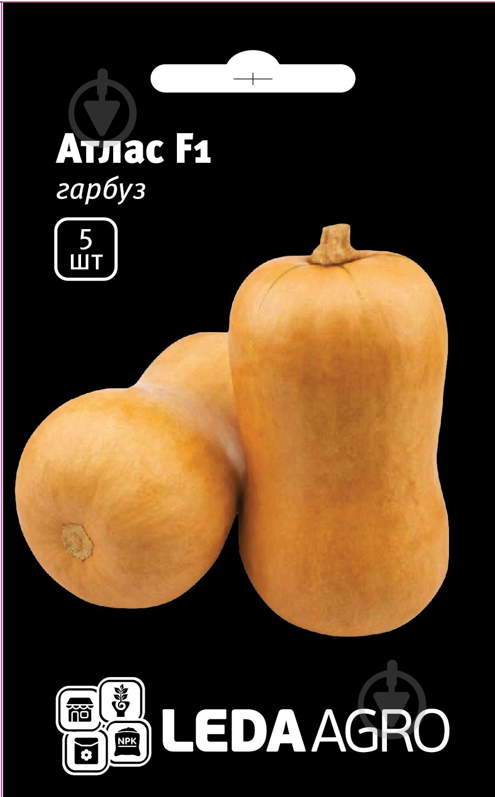 Семена LedaAgro тыква Атлас F1 5 шт. (4820119796115) - фото 1