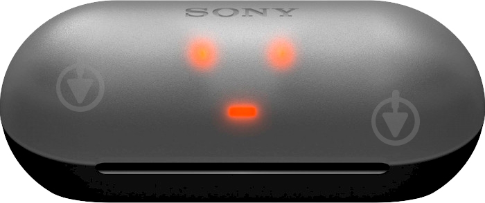 Наушники беспроводные Sony WF-C500 black (WFC500B.CE7) - фото 6 Наушники беспроводные Sony WF-C500 black (WFC500B.CE7) - фото 6