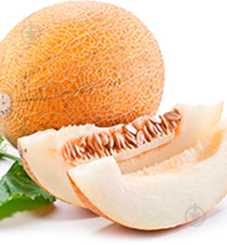 Семена Садовий Світ дыня Леся 2 г (4823095600179) - фото 2