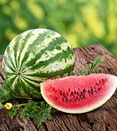 Семена Садовий Світ арбуз Продюсер 2 г (4823095600278) - фото 2