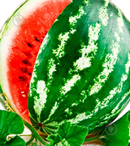 Насіння Садовий Світ кавун Крімсон світ 2 г (4823095600285) - фото 2