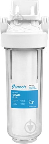 Фільтр механічного очищення Ecosoft 1/2" - фото 1