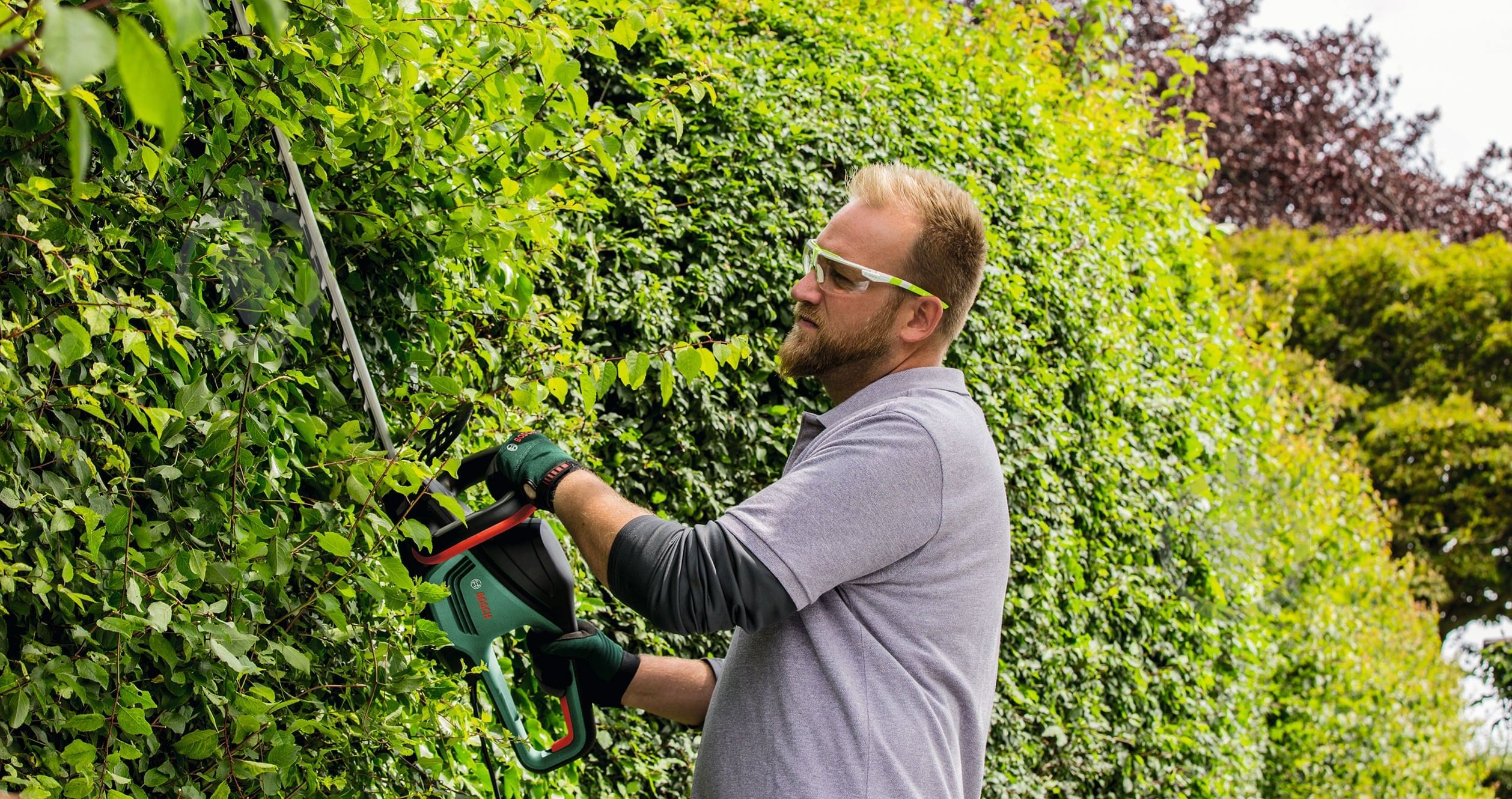 Кусторез электрический Bosch UniversalHedgeCut 50 (06008C0501) - фото 3