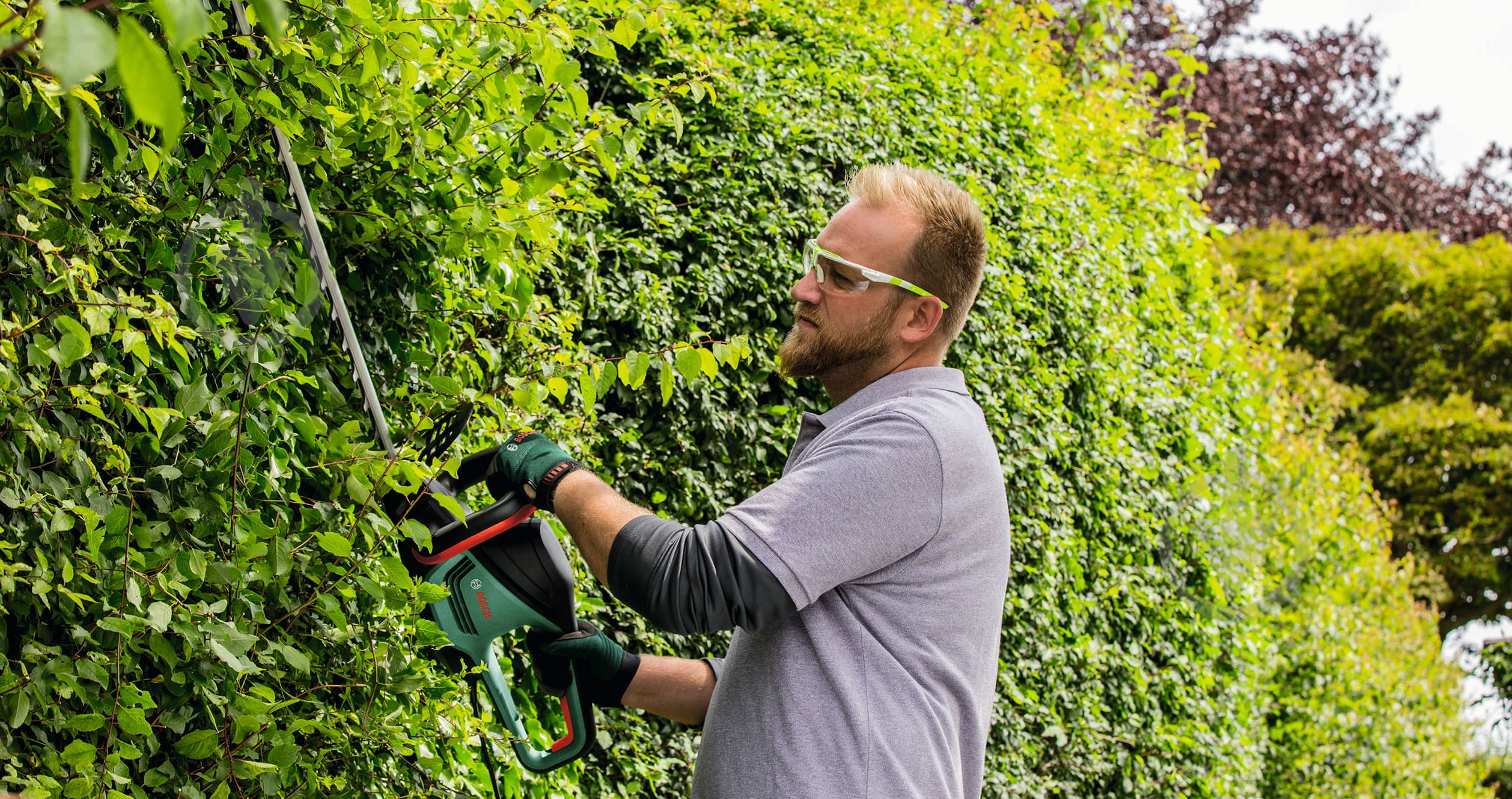 Кусторез электрический Bosch UniversalHedgeCut 60 - фото 3