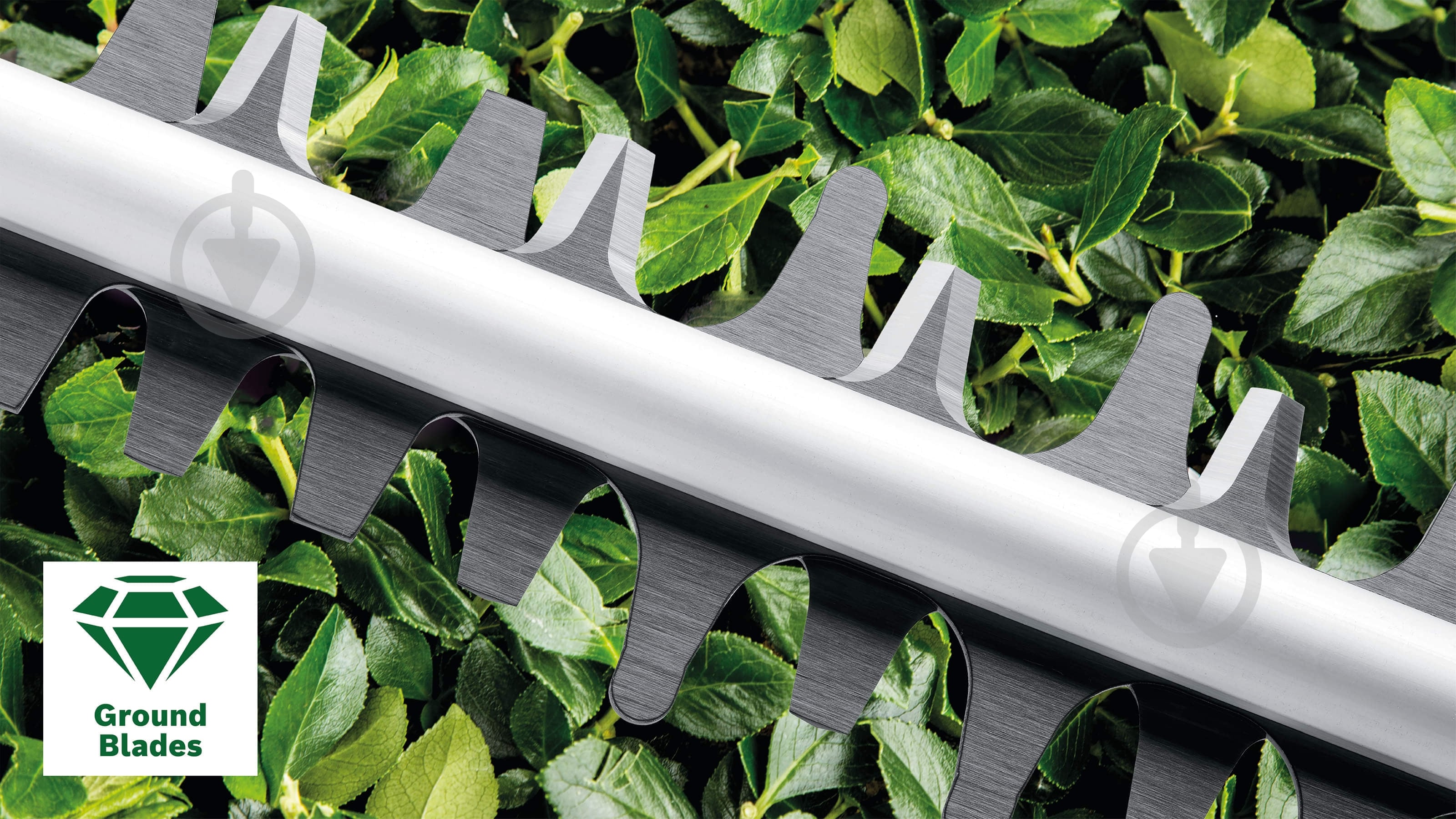 Кусторез электрический Bosch AdvancedHedgeCut 70 - фото 8 Кусторез электрический Bosch AdvancedHedgeCut 70 - фото 8