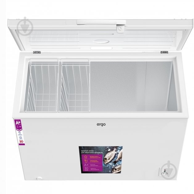 Морозильный ларь Ergo BD-300 RF - фото 2