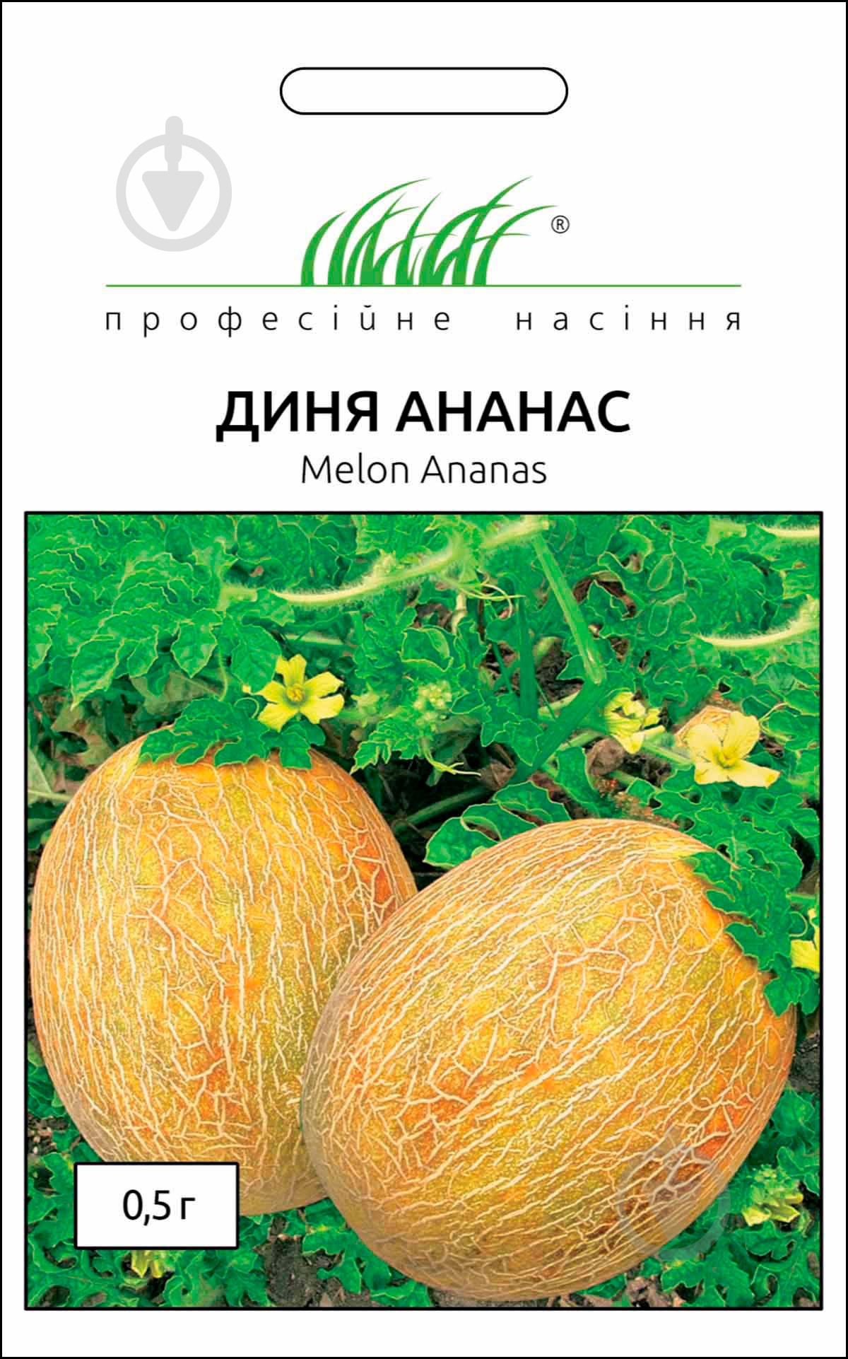 Насіння диня Ананас 0,5 г Професійне насіння - фото 1