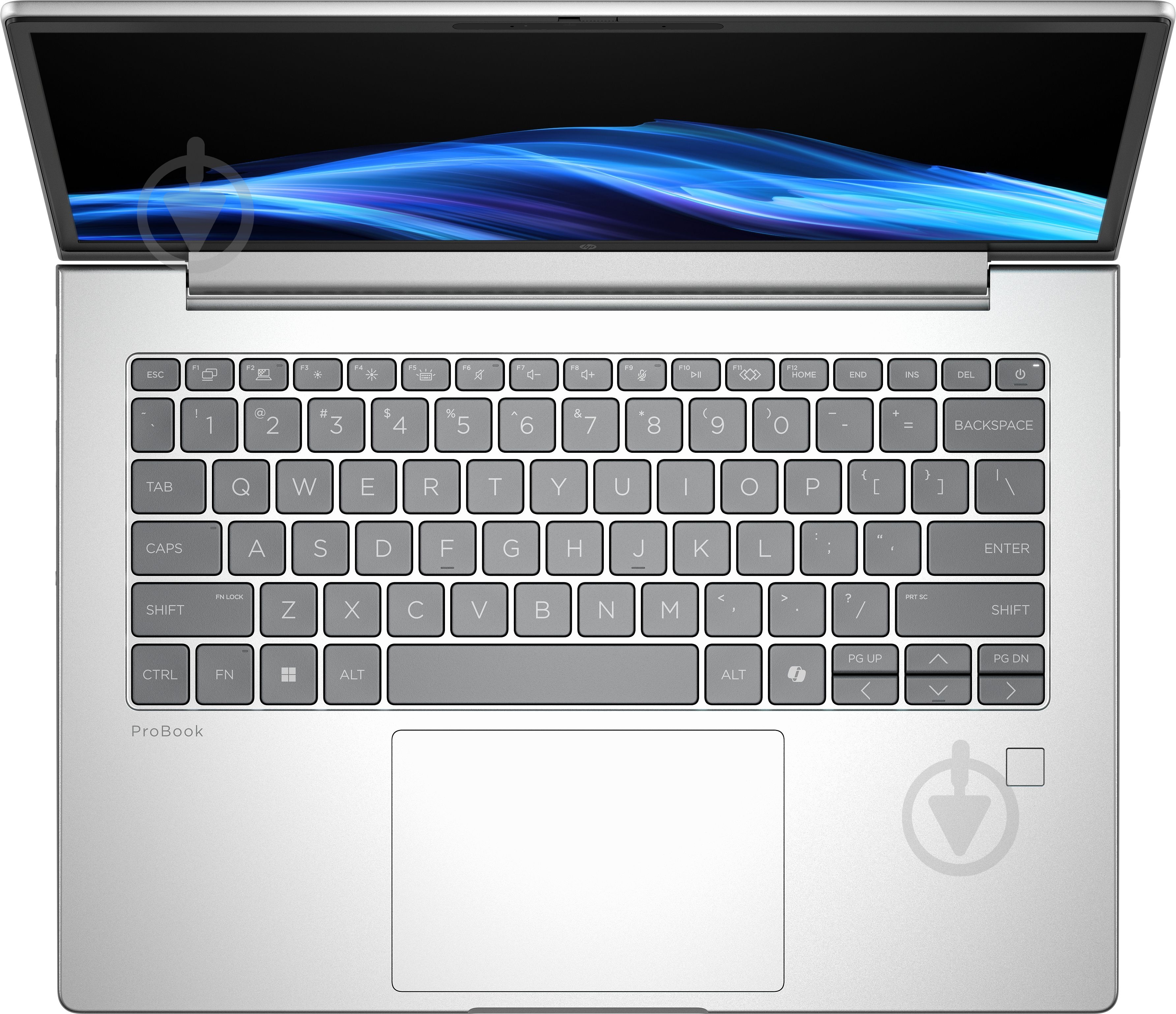 Ноутбук HP ProBook 4 G1i 14 14" (C44Z5ET) pike silver - фото 4