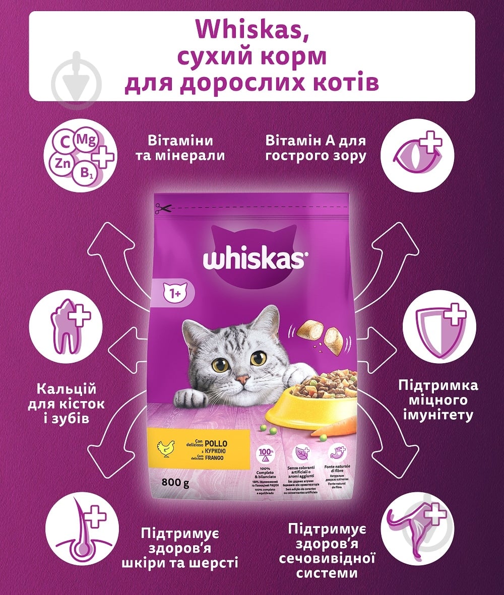 Корм сухой Whiskas с курицей 800 г - фото 5 Корм сухой Whiskas с курицей 800 г - фото 5