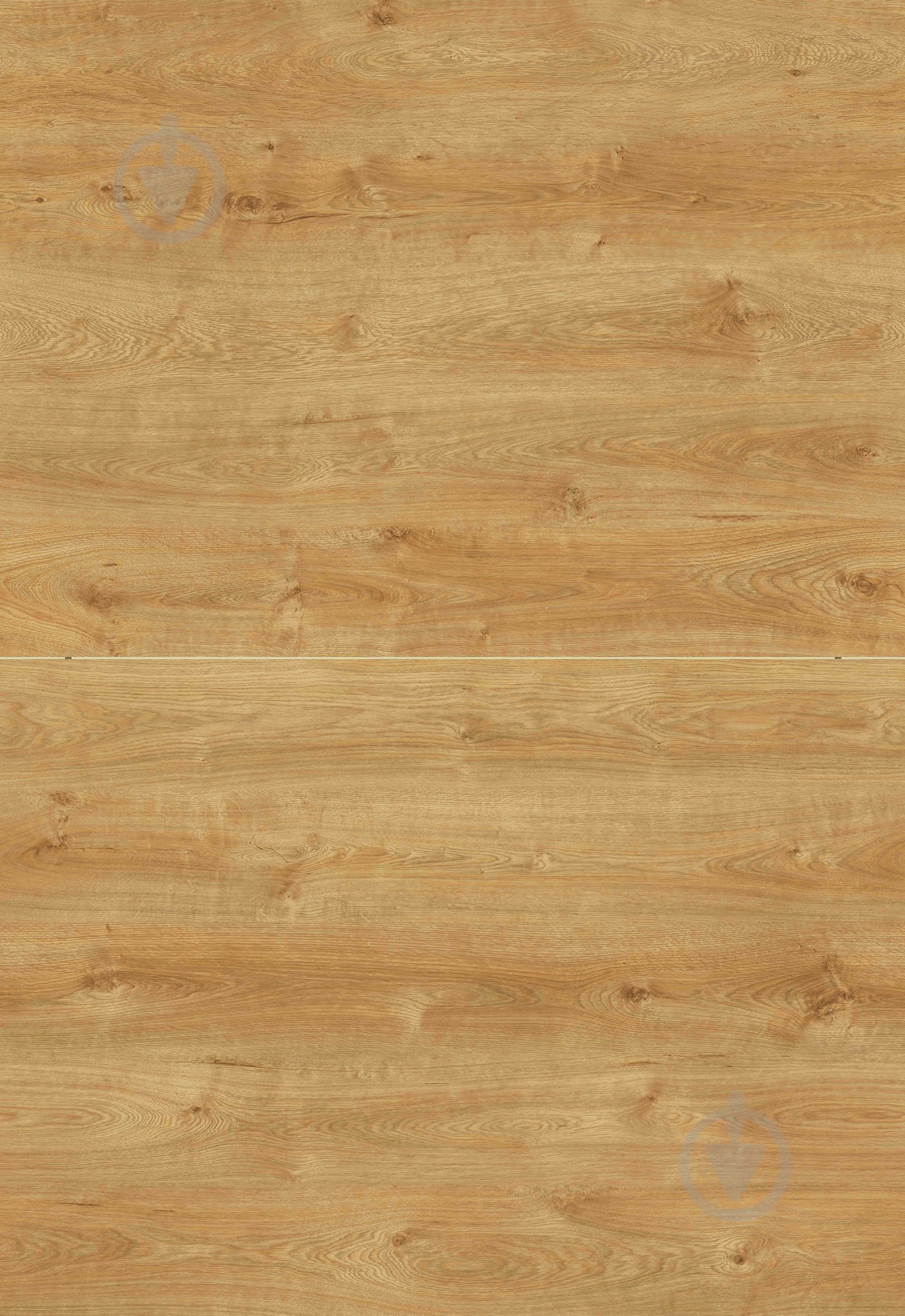 Ламинат SWISS KRONO Olympus Eros Oak 33/АС5 8 мм (D4582) - фото 3