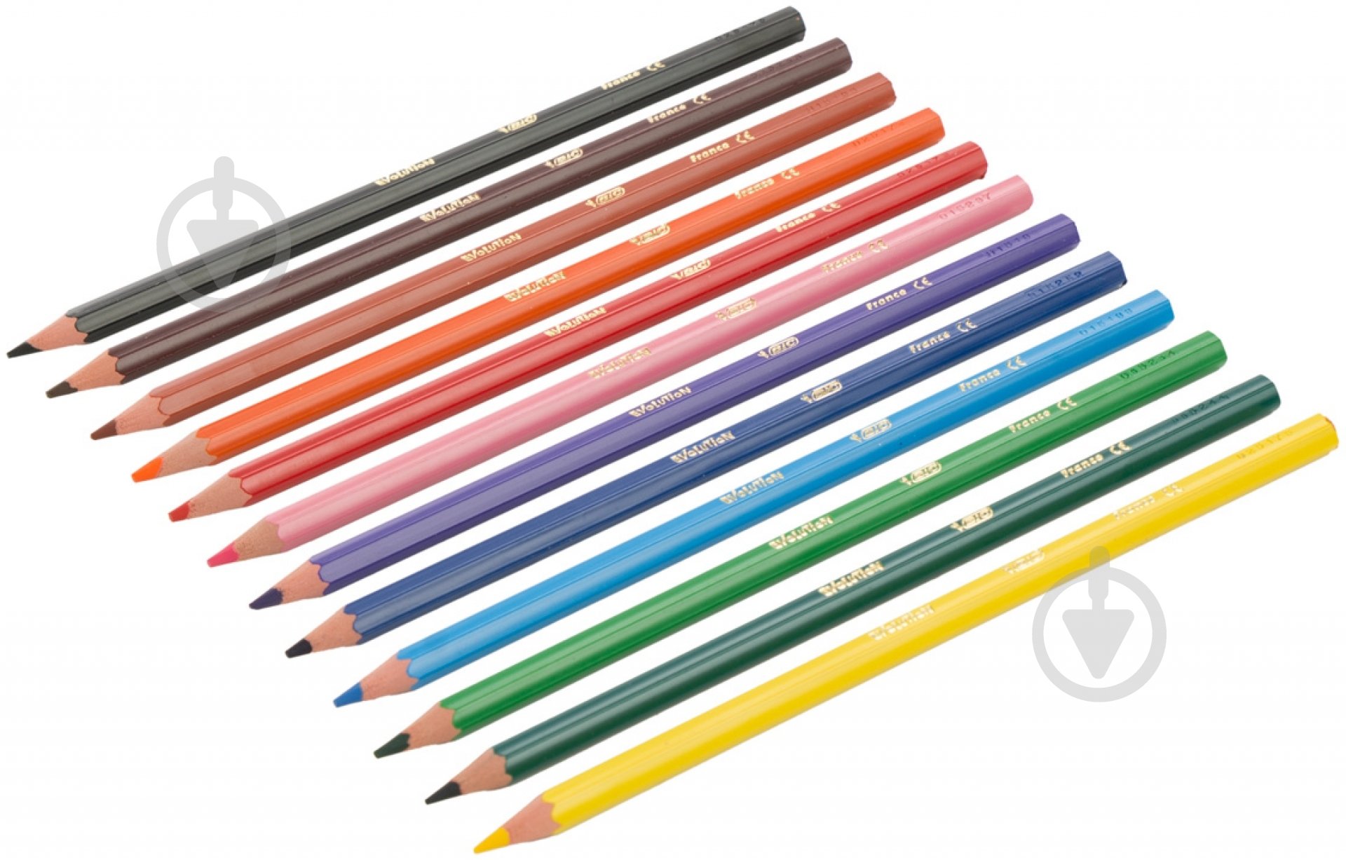 Олівці кольорові Evolution BIC - фото 2