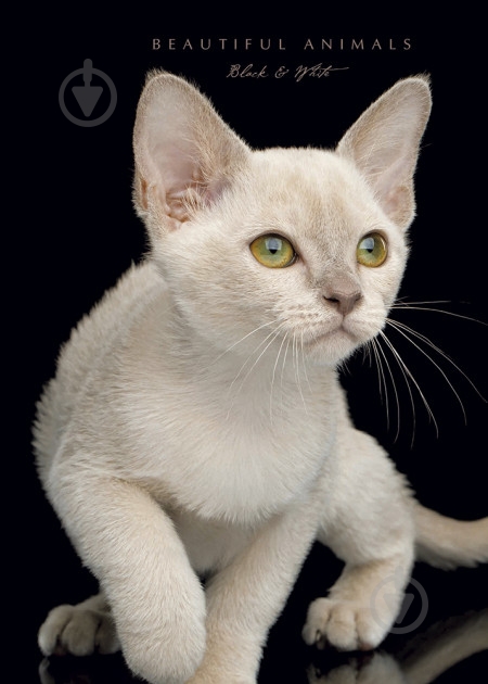 Блокнот 1В970 Аркуш - фото 1