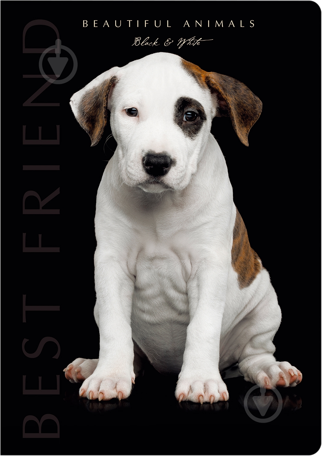 Блокнот 1В960 Аркуш - фото 1 Блокнот 1В960 Аркуш - фото 1