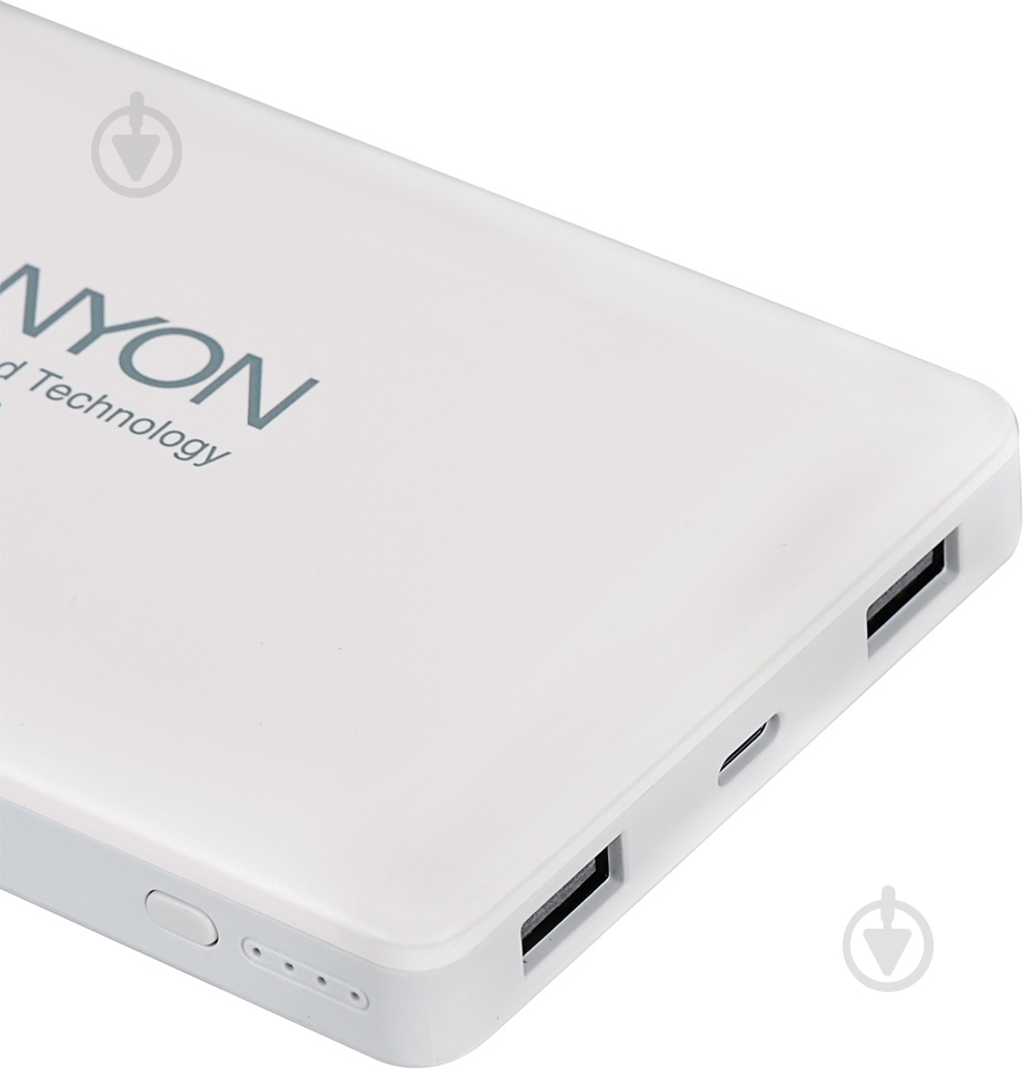Повербанк Canyon 15000 mAh (CNS-TPBP15W) - фото 3