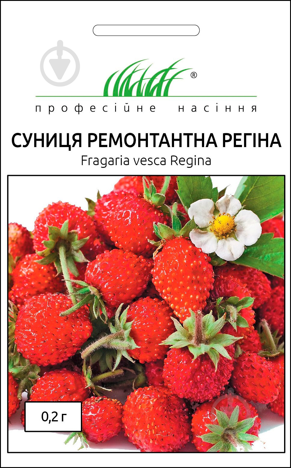 Насіння суниця альпійська ремонтантна Регіна 0,2 г - фото 1