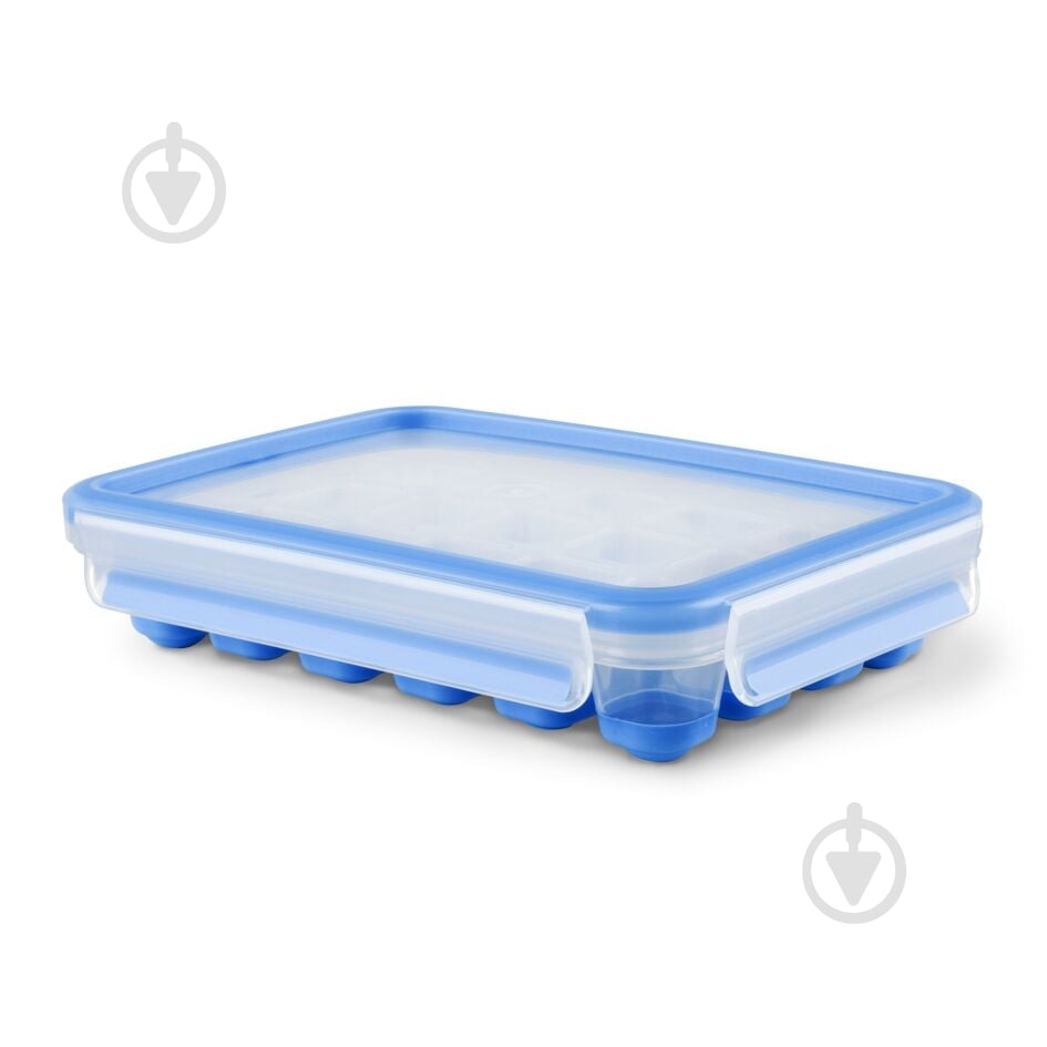 Форма для льоду Tefal MASTERSEAL FRESH K3023612 - фото 1