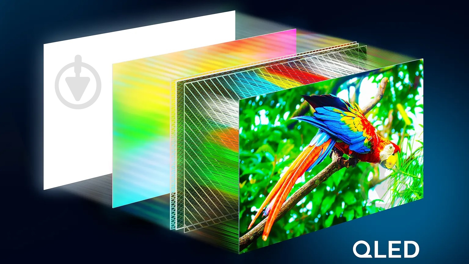 Телевизор Philips 75PUS7810/12 - фото 5