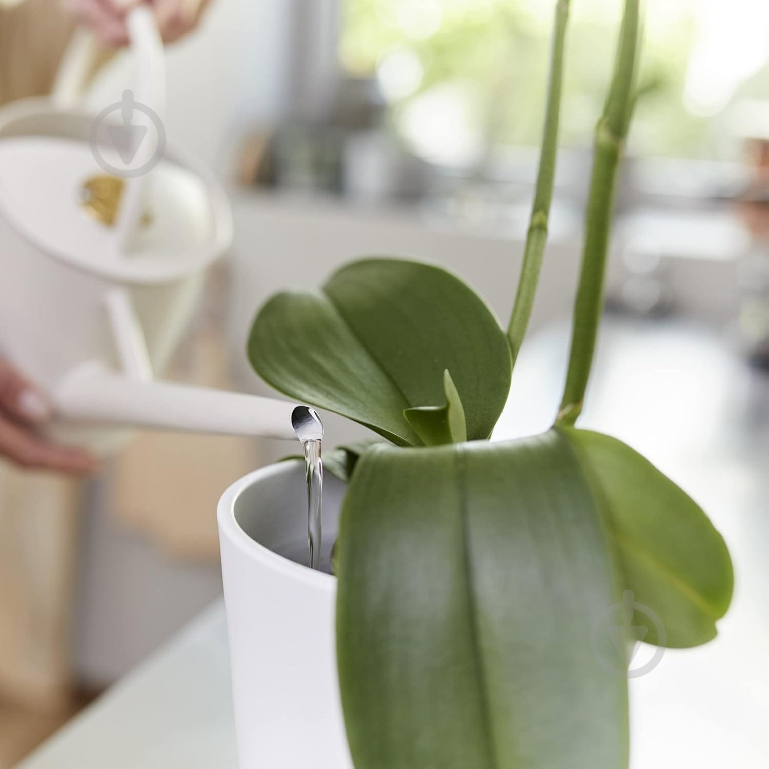 Удобрение для орхидей Compo 500 мл 4089 - фото 10