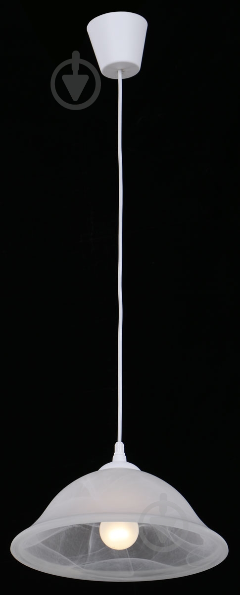 Подвес TK Lighting Plate 1x60 Вт E27 белый 1286 - фото 2