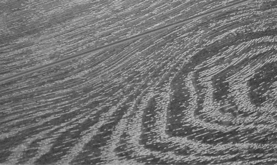 Ламинат Kronotex Mammut V4 дуб макро коричневый 33/АС5/12 мм - фото 2