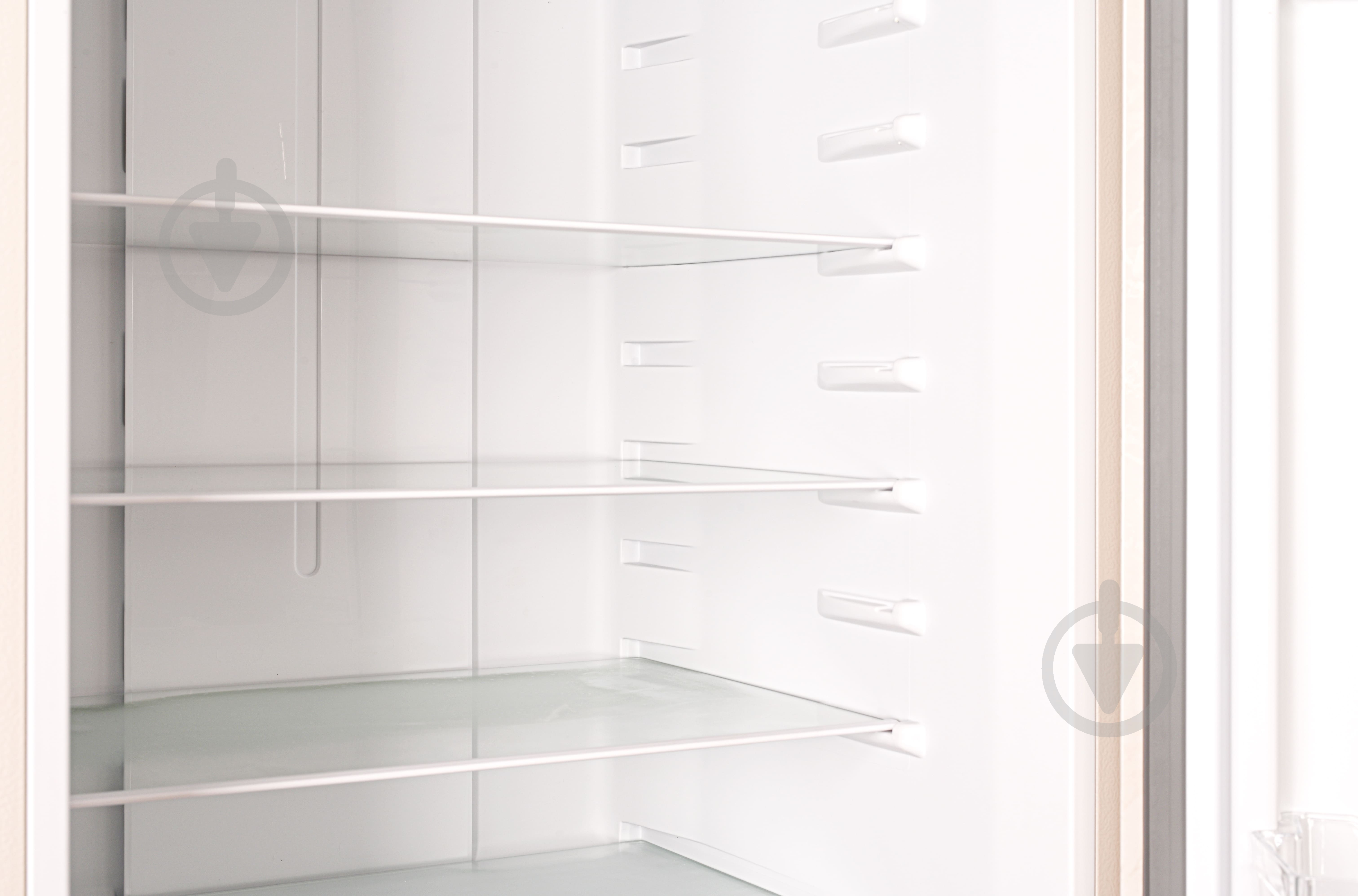 Холодильник Grifon NFN-185BG - фото 11