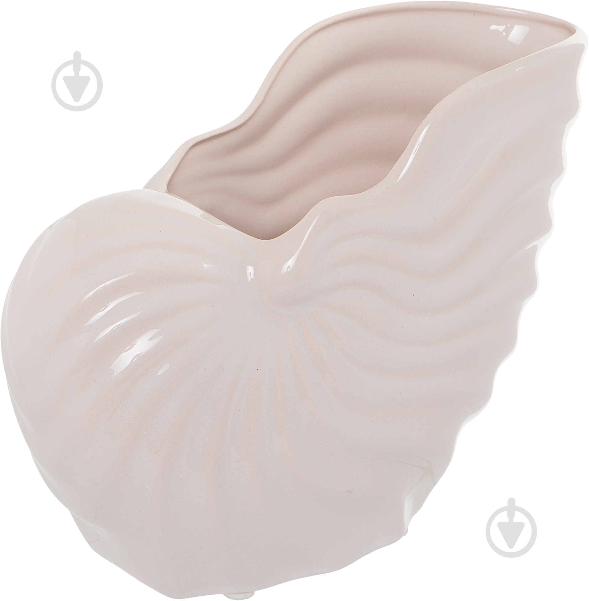 Статуэтка Eterna ракушка SE 403-20 16х9 см бежевый - фото 1