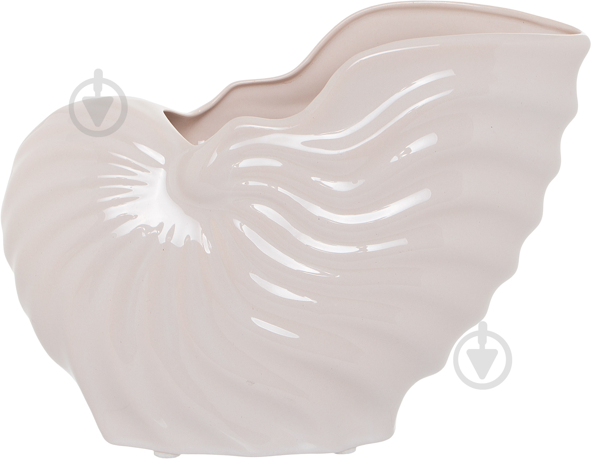 Статуэтка Eterna ракушка SE 403-20 16х9 см бежевый - фото 2