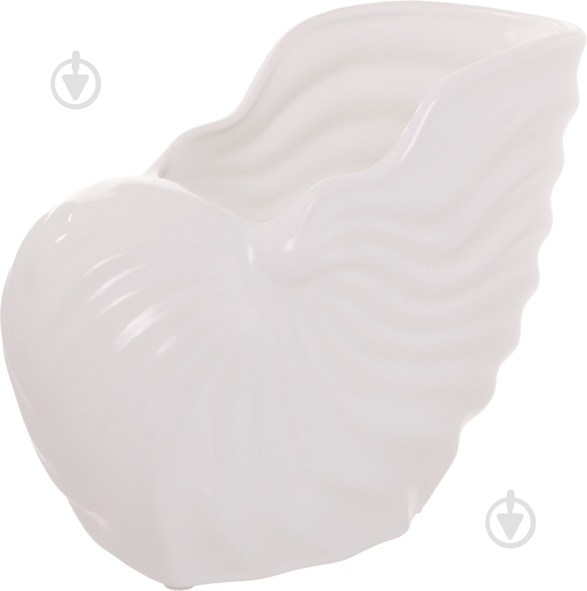 Фигурка Eterna ракушка SE 403-20/1 27х20 см белый - фото 2