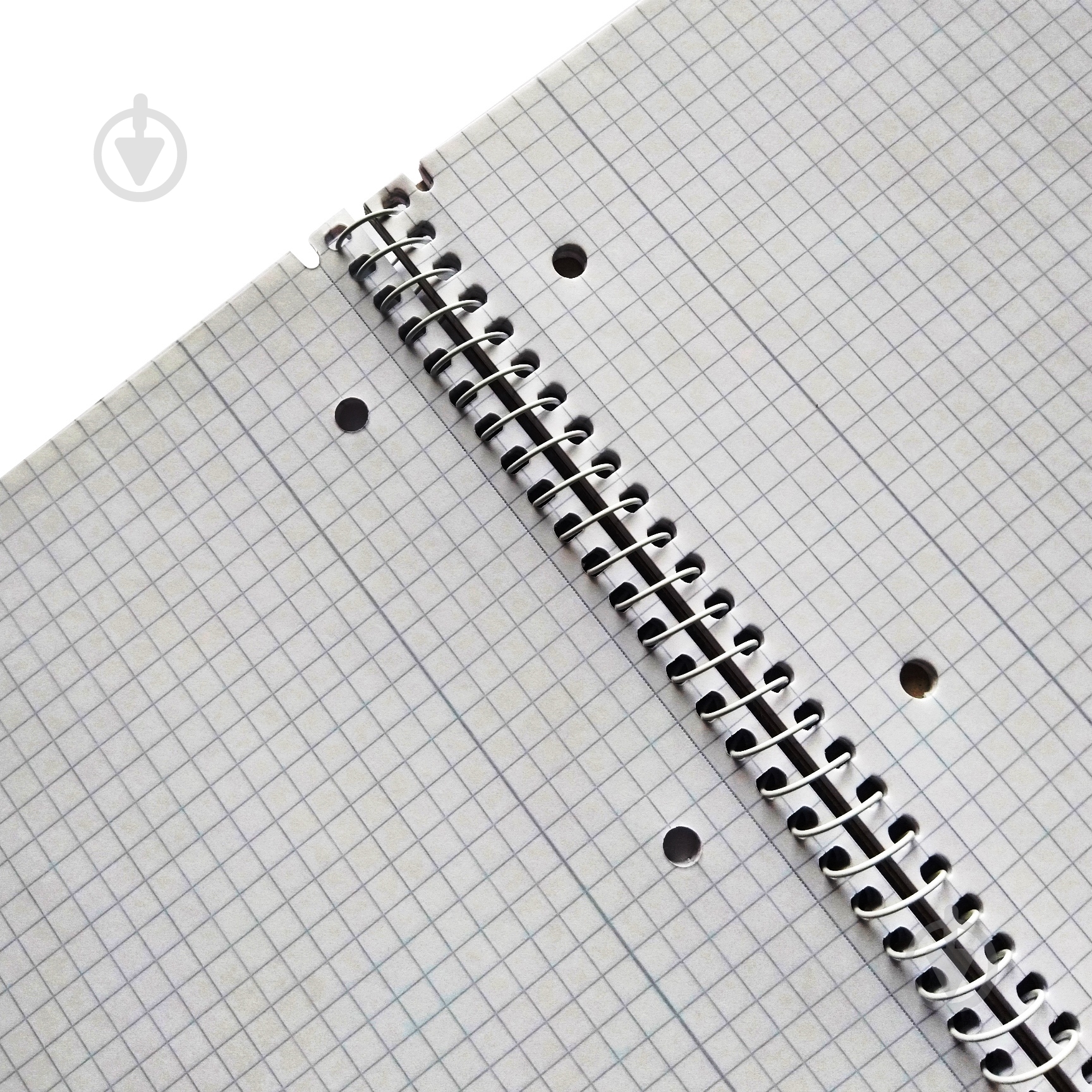 Блокнот А4 80 аркушів в клітинку Batik Fearless Herlitz - фото 3