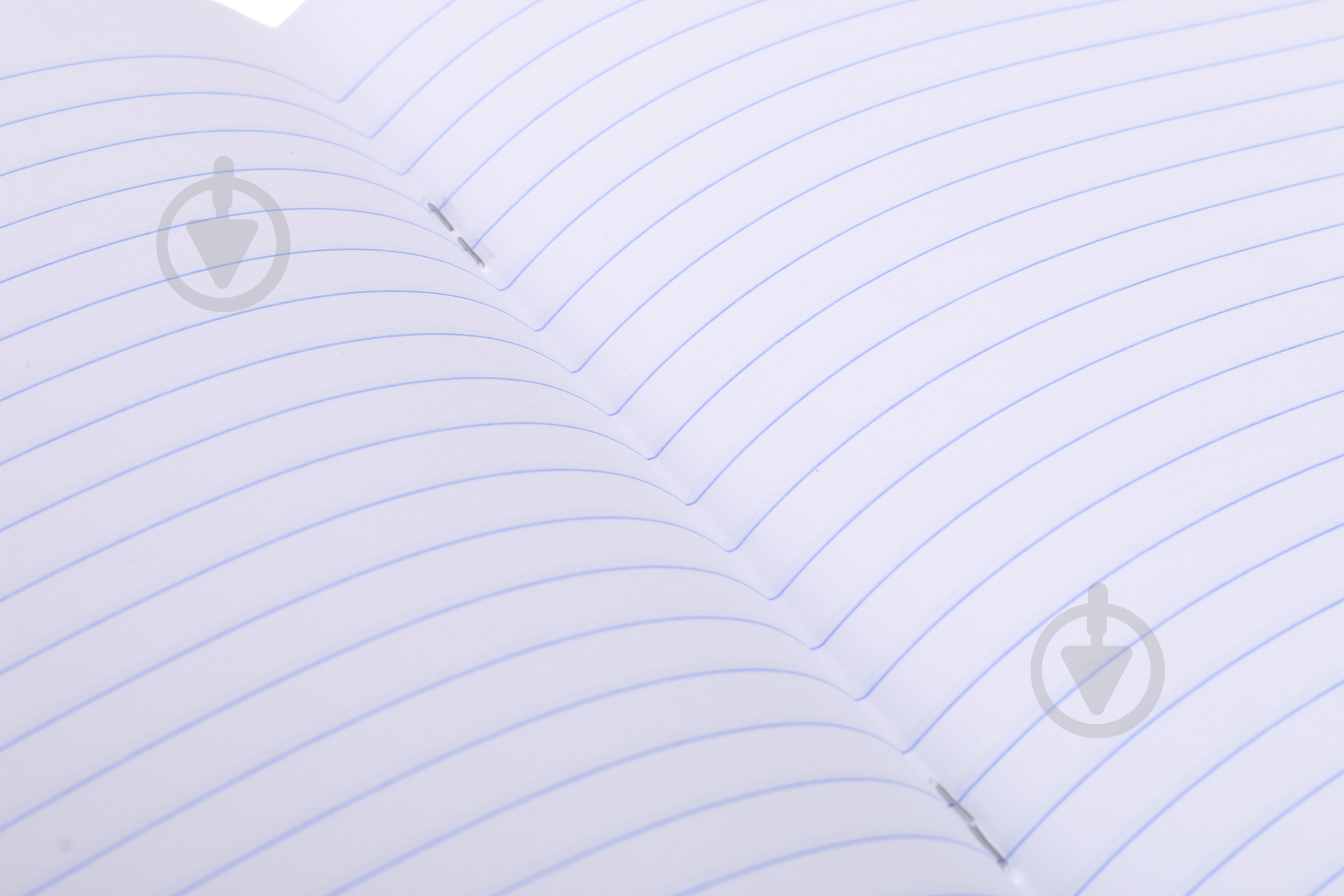 Зошит шкільний 18 аркушів у лінію 2_2020 Nota Bene - фото 5