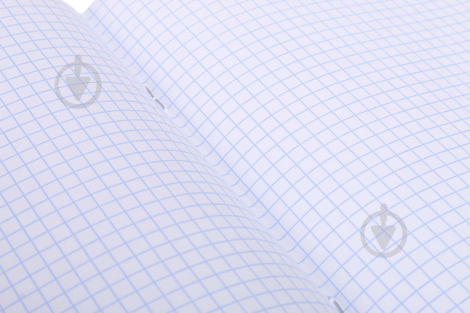 Тетрадь школьная 24 листа в клетку 2_2020 Nota Bene - фото 5 Тетрадь школьная 24 листа в клетку 2_2020 Nota Bene - фото 5