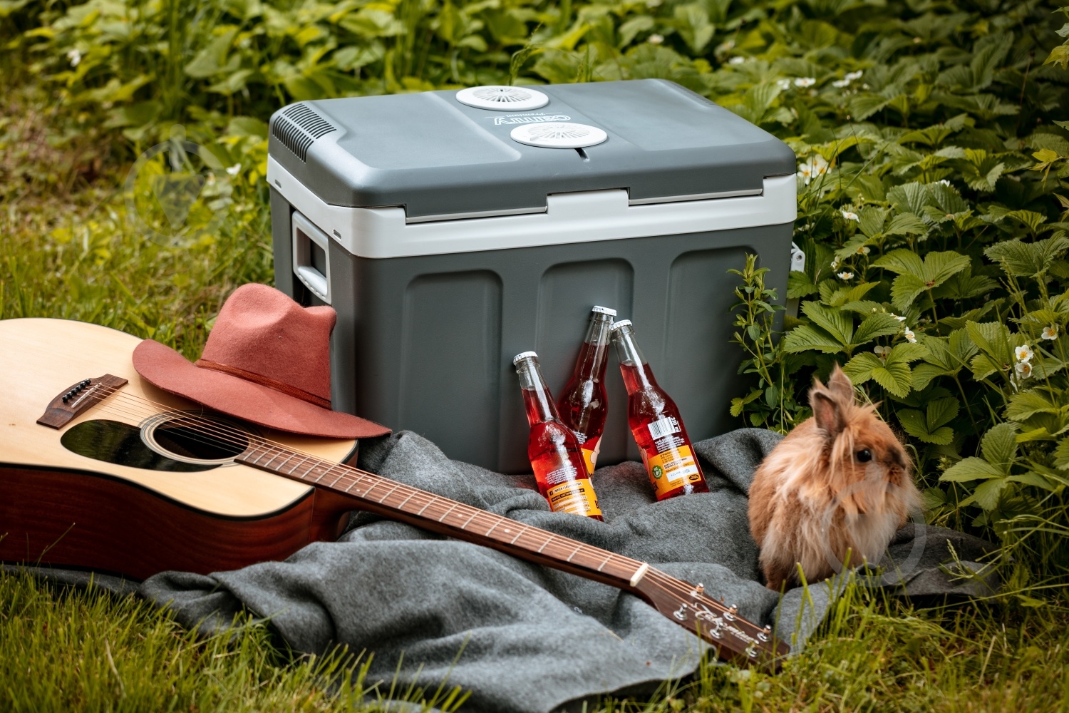 Автохолодильник CR-8061 Camry 40 л - фото 6 Автохолодильник CR-8061 Camry 40 л - фото 6