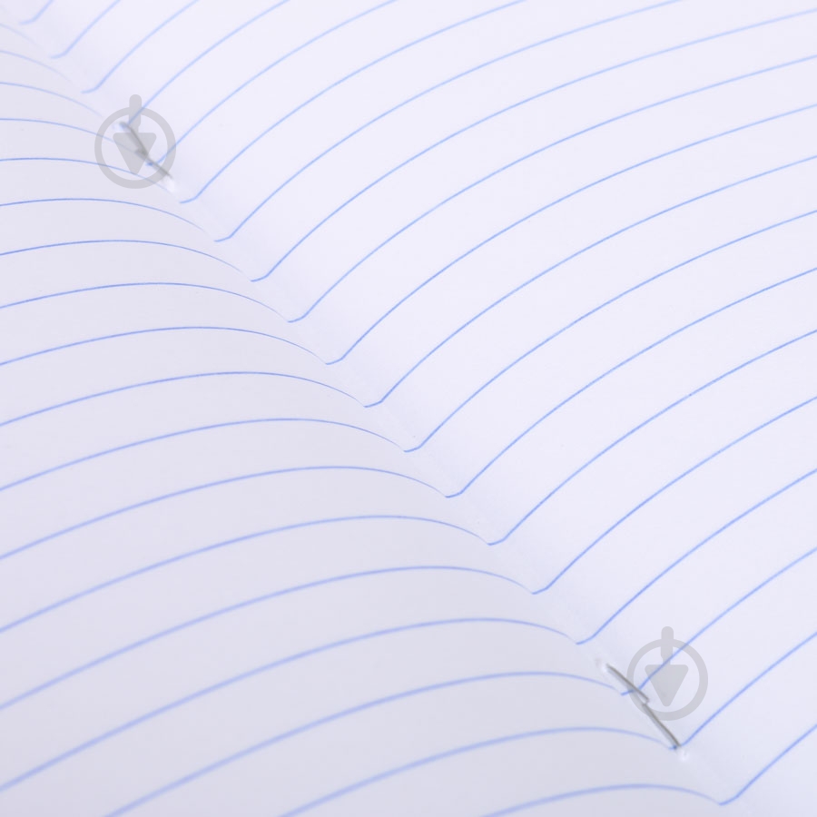 Тетрадь школьная 12 листов в линию Panda - фото 5 Тетрадь школьная 12 листов в линию Panda - фото 5