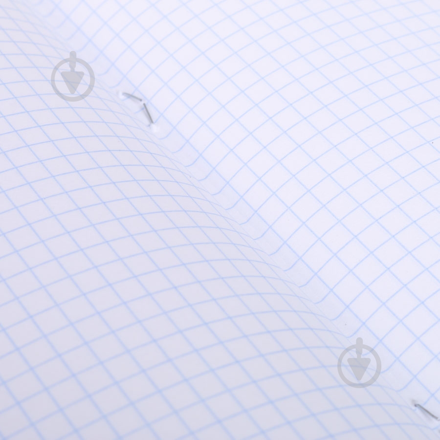 Тетрадь школьная 12 листов в клетку Shark - фото 5