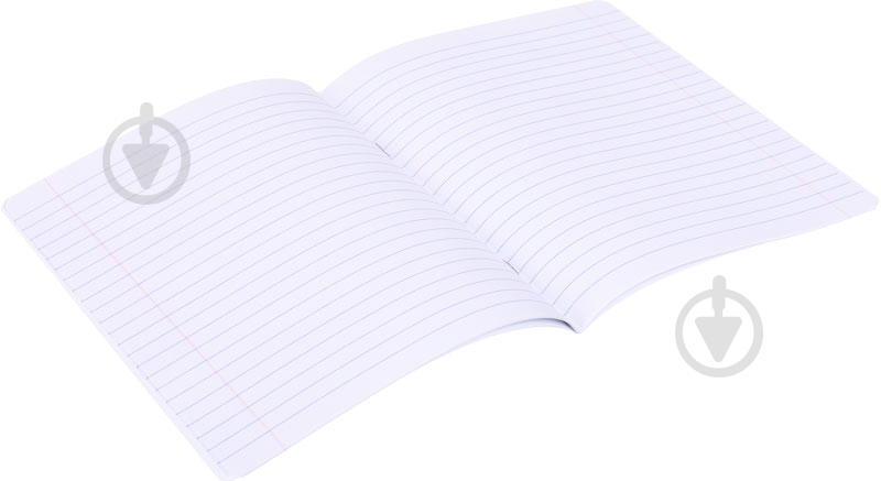 Тетрадь школьная 12 листов в линию Shark - фото 4