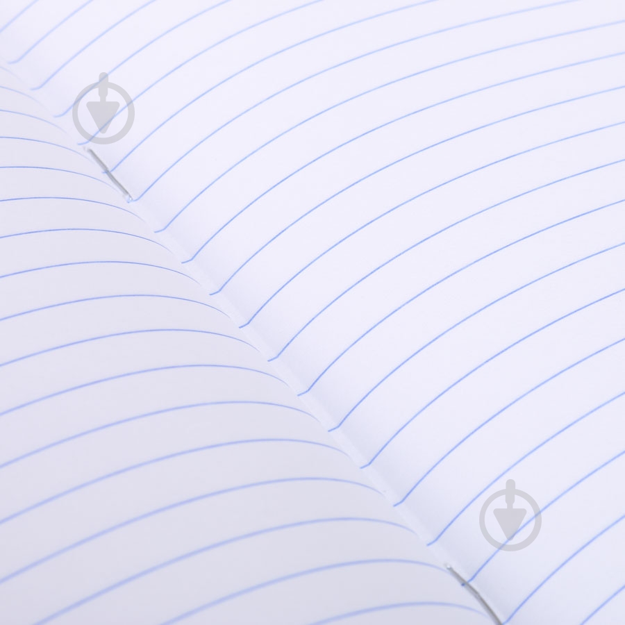 Тетрадь школьная 12 листов в линию Shark - фото 5