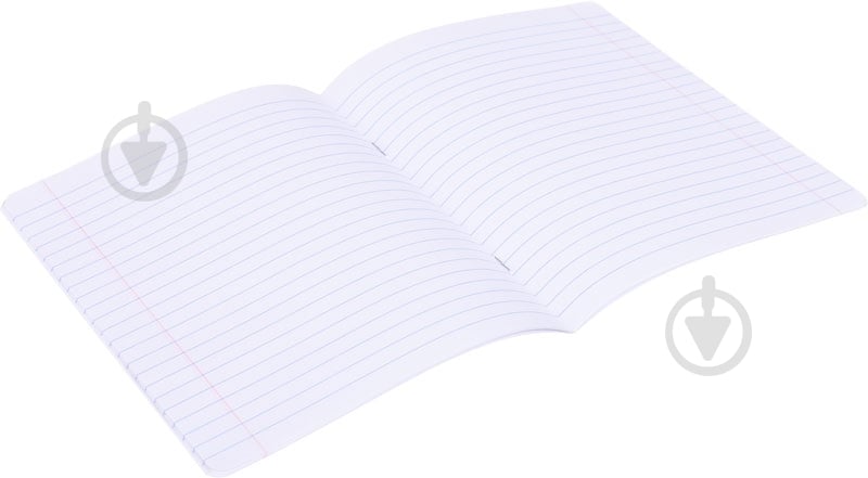 Тетрадь школьная 18 листов в линию Shark - фото 4