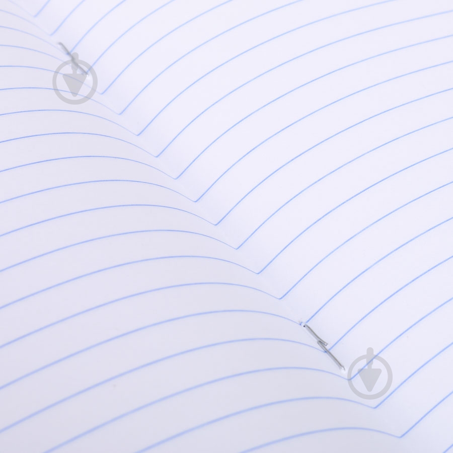 Тетрадь школьная 18 листов в линию Shark - фото 5