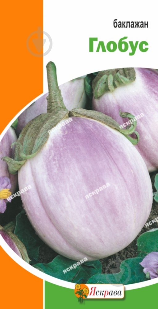Насіння Яскрава баклажан Глобус 0,2 г (4823069800031) - фото 1