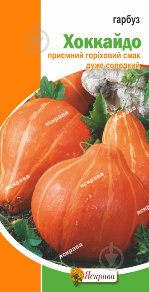 Семена Яскрава тыква Хоккайдо 2 г (4823069911355) - фото 1