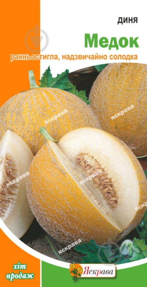 Насіння Яскрава диня Медок 2 г (4823069812492) - фото 1