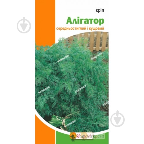 Семена Яскрава укроп кустовой Алигатор 2,5 г (4823069913502) - фото 1