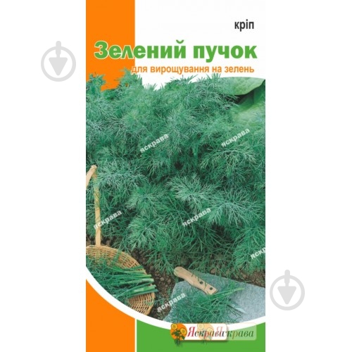 Семена укроп Зеленый пучек 2,5 г Яскрава - фото 1