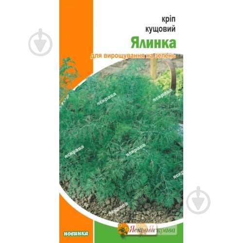 Насіння кріп кущовий Ялинка 2,5 г Яскрава - фото 1