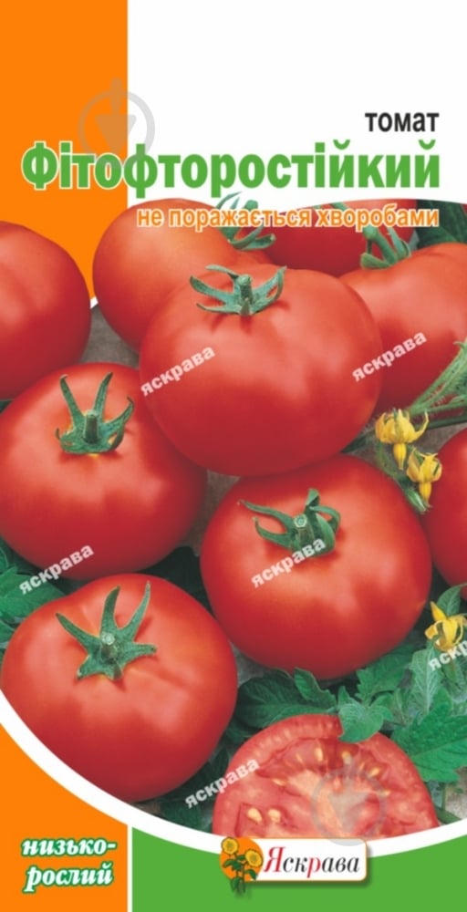 Семена томат Фитофторостойкий 0,1 г Яскрава - фото 1